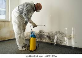  , USA Mold Prevention & Removal Pros